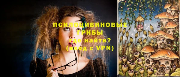 2c-b Покачи